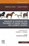 Advances In The Diagnosis And Treatment Of Equine Tendon And Ligament Injuries An Issue Of Veterinary Clinics Of North America_ Equine Practice