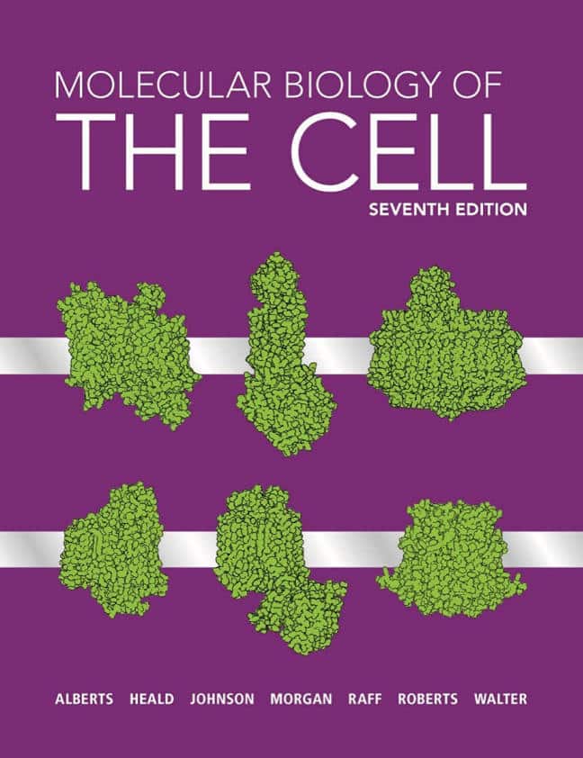 Molecular Biology Of The Cell 7Th Edition Alberts