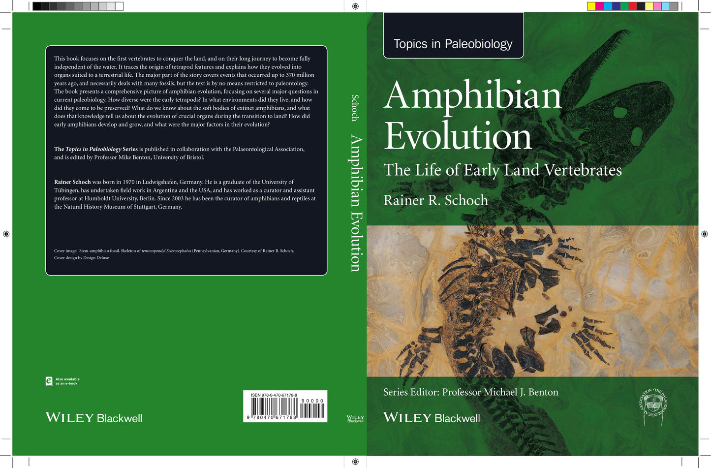 Amphibian Evolution The Life Of Early Land Vertebrates