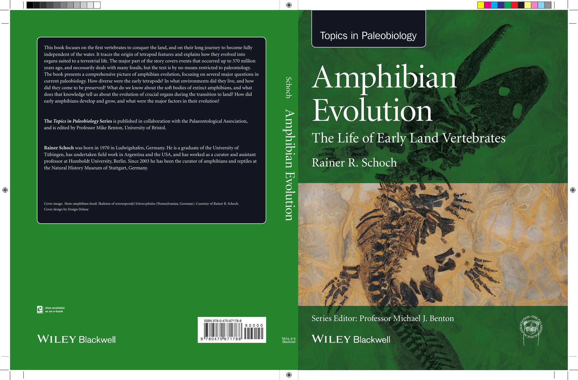 Amphibian Evolution The Life Of Early Land Vertebrates