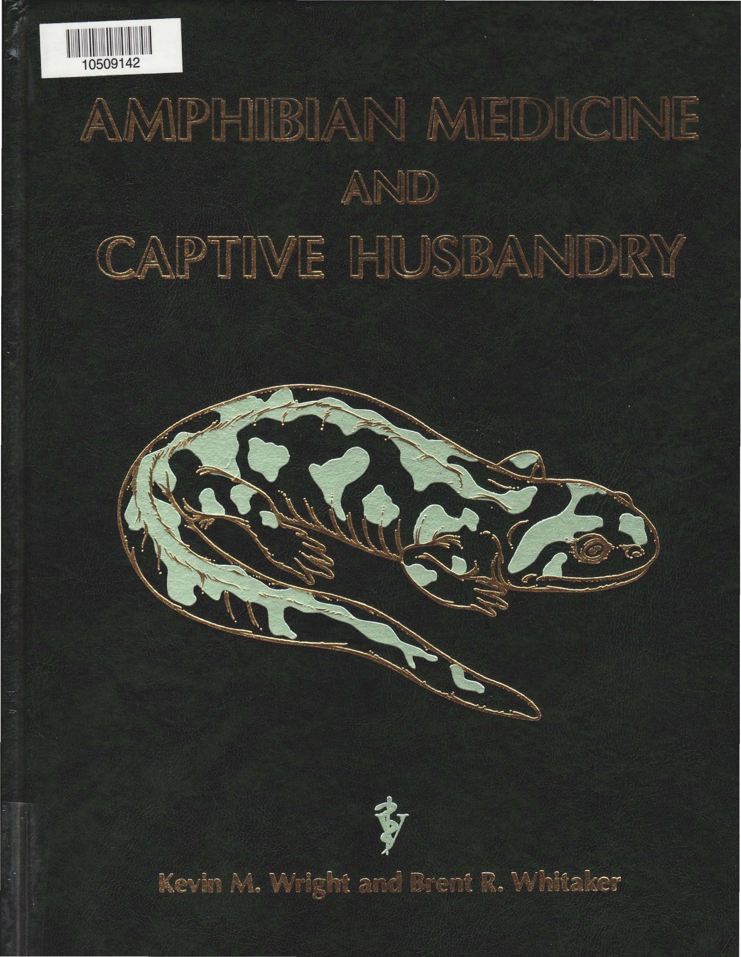 Amphibian Medicine And Captive Husbandry