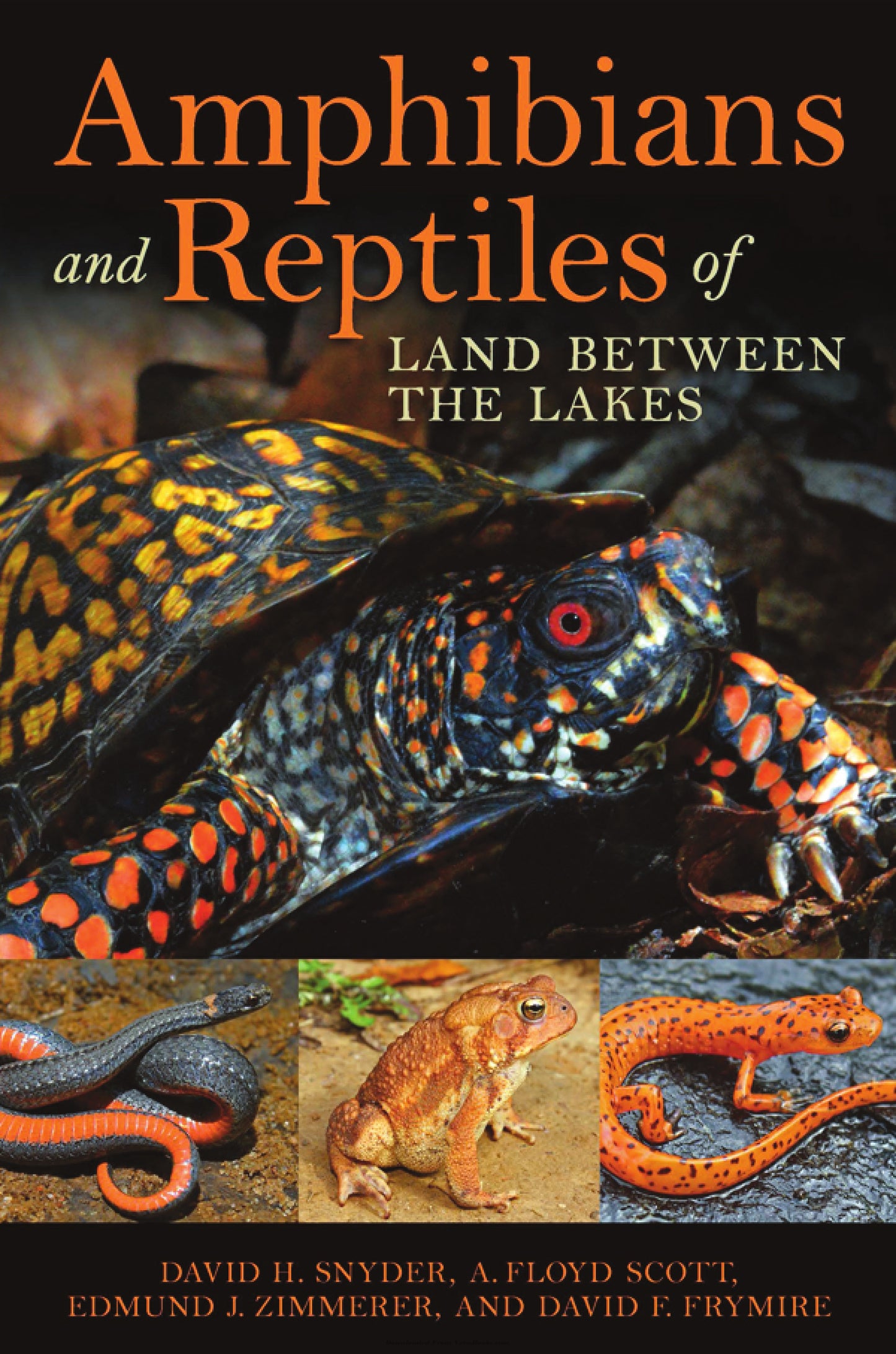 Amphibians And Reptiles Of Land Between The Lakes