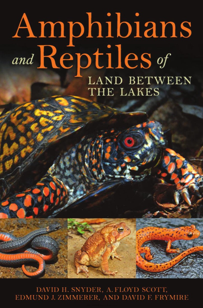 Amphibians And Reptiles Of Land Between The Lakes