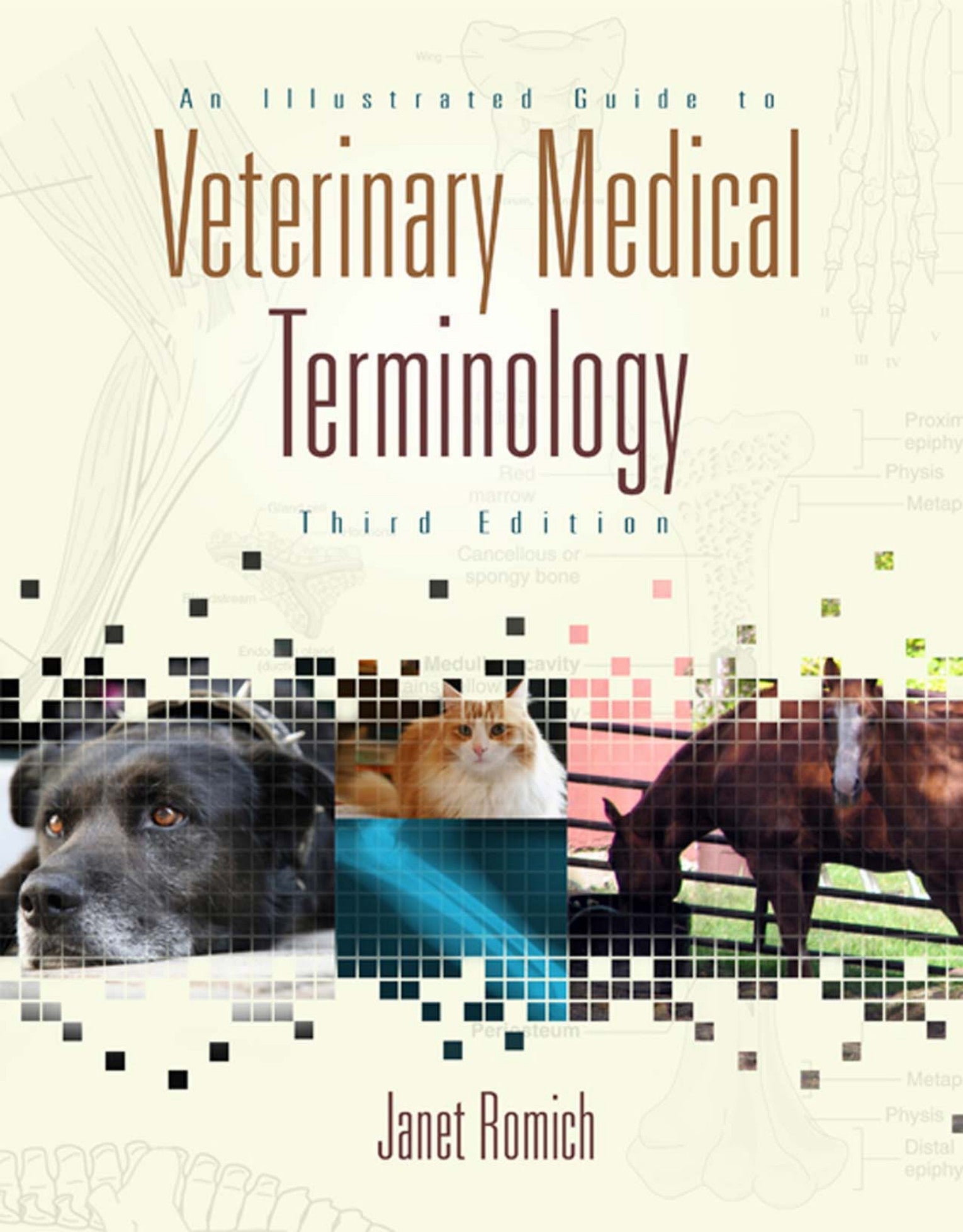 An Illustrated Guide To Veterinary Medical Terminology 3Rd Edition