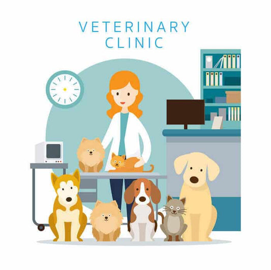 Veterinary Marketing Ideas