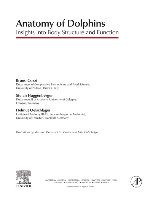 Anatomy Of Dolphins Insights Into Body Structure and Function