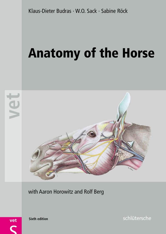 Anatomy Of The Horse 6Th Edition