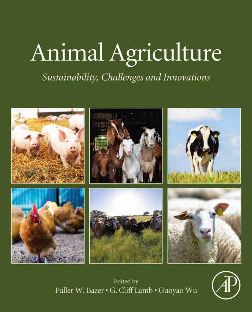 Animal Agriculture Sustainability Challenges and Innovations