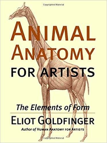 Animal Anatomy For Artists The Elements Of Form