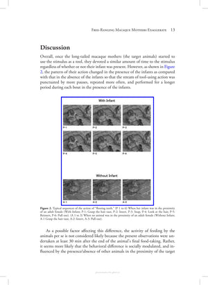 Animal Behavior An Evolutionary Approach