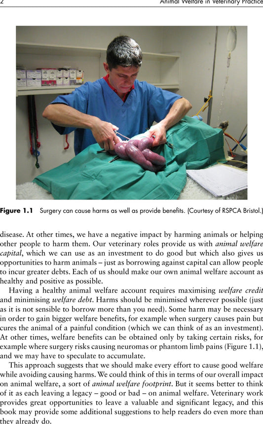 Animal Welfare In Veterinary Practice