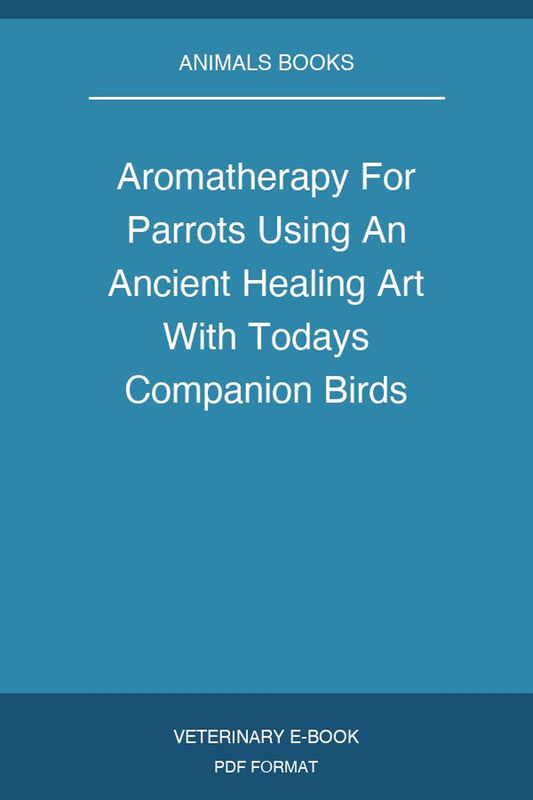 Aromatherapy For Parrots Using An Ancient Healing Art With Todays Companion Birds