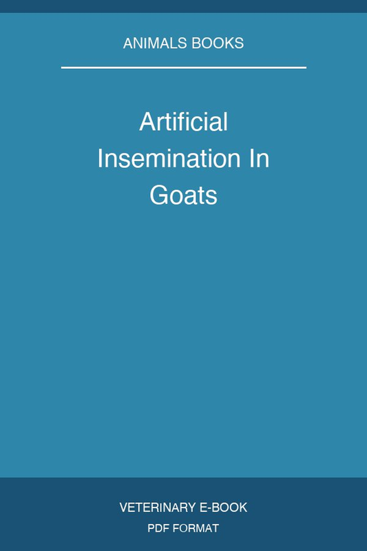 Artificial Insemination In Goats