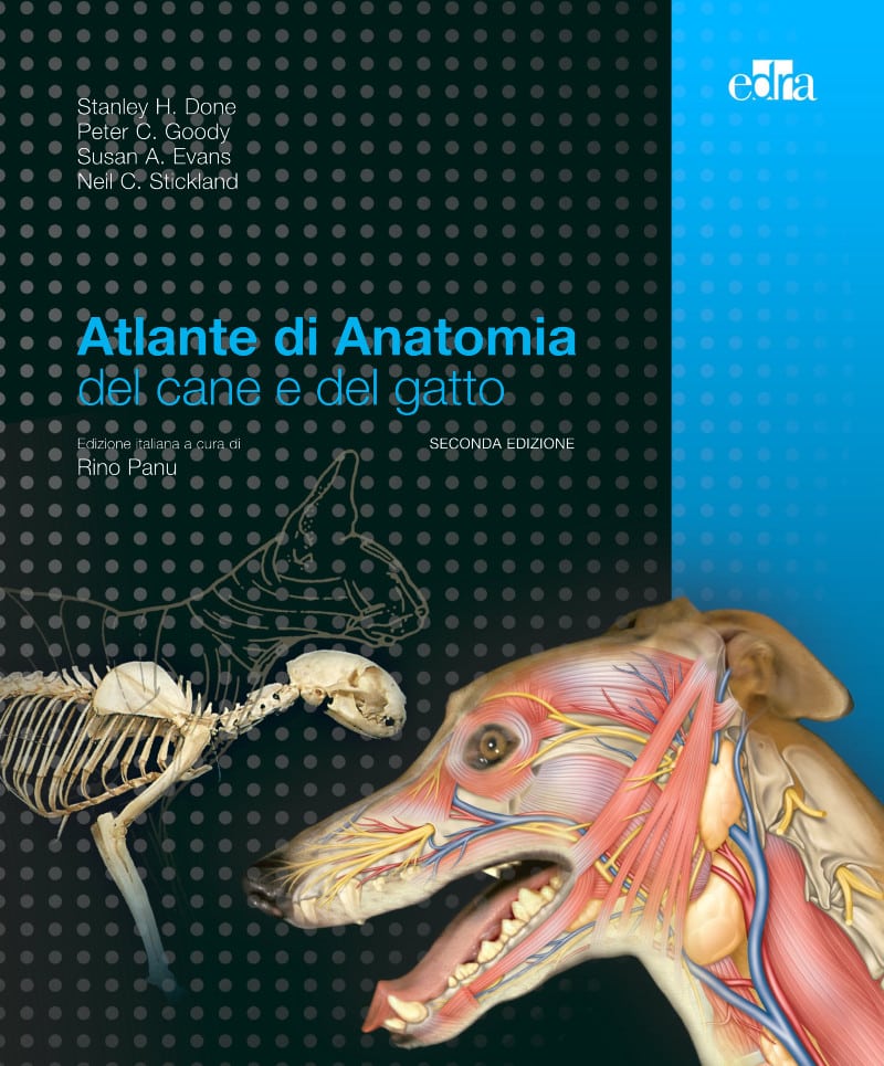 Atlante Di Anatomia Del Cane E Del Gatto