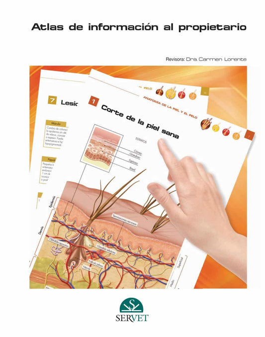 Atlas De Informacion Al Propietario Dermatologia