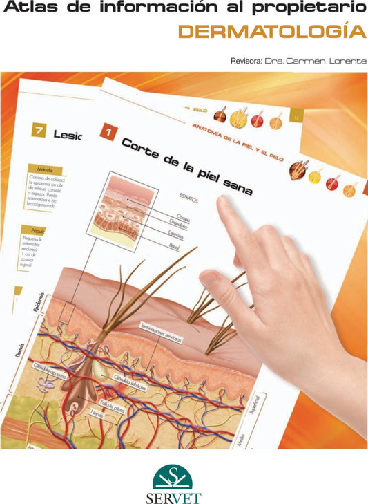 Atlas De Informacion Al Propietario Dermatologia