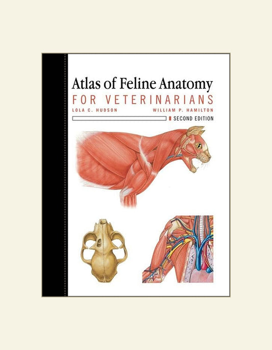 Atlas Of Feline Anatomy For Veterinarians — front cover (HD)