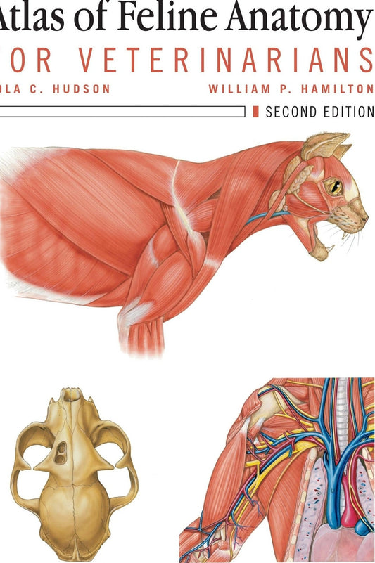Atlas Of Feline Anatomy For Veterinarians