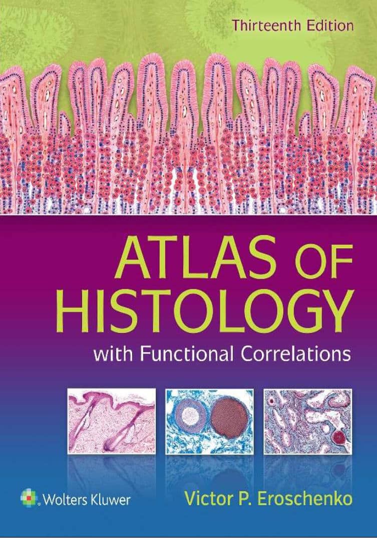 Atlas Of Histology With Functional Correlations 13Th Edition