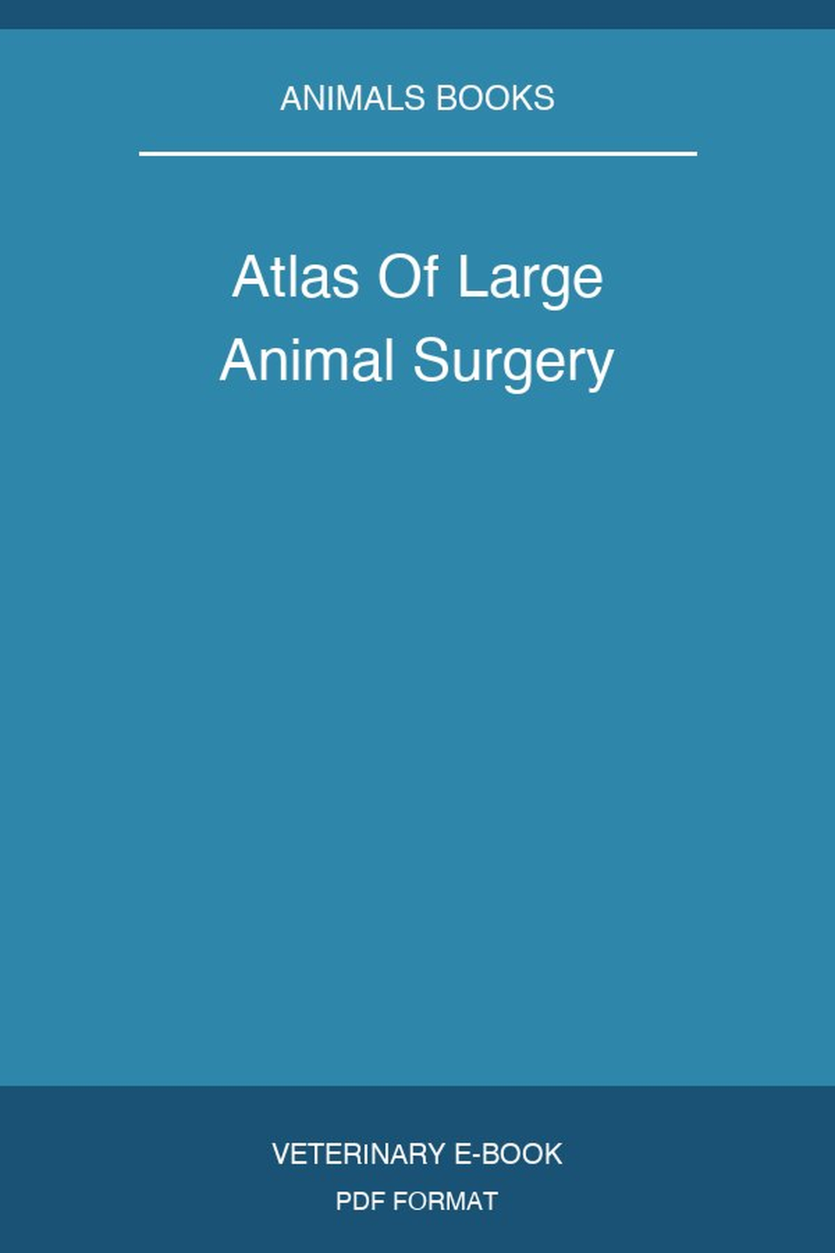 Atlas Of Large Animal Surgery