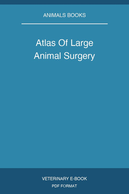 Atlas Of Large Animal Surgery