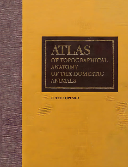 Atlas Of Topographical Anatomy Of The Domestic Animals 6Th Edition