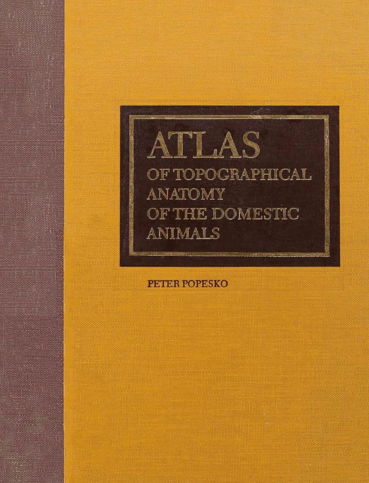 Atlas Of Topographical Anatomy Of The Domestic Animals 6Th Edition