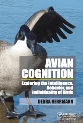 Avian Cognition Exploring The Intelligence Behavior And Individuality Of Birds