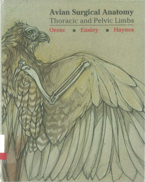 Avian Surgical Anatomy Thoracic And Pelvic Limbs