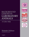 Background Lesions In Laboratory Animals A Color Atlas