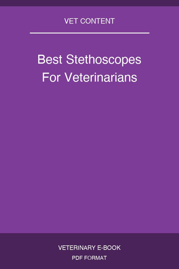 Best Stethoscopes For Veterinarians