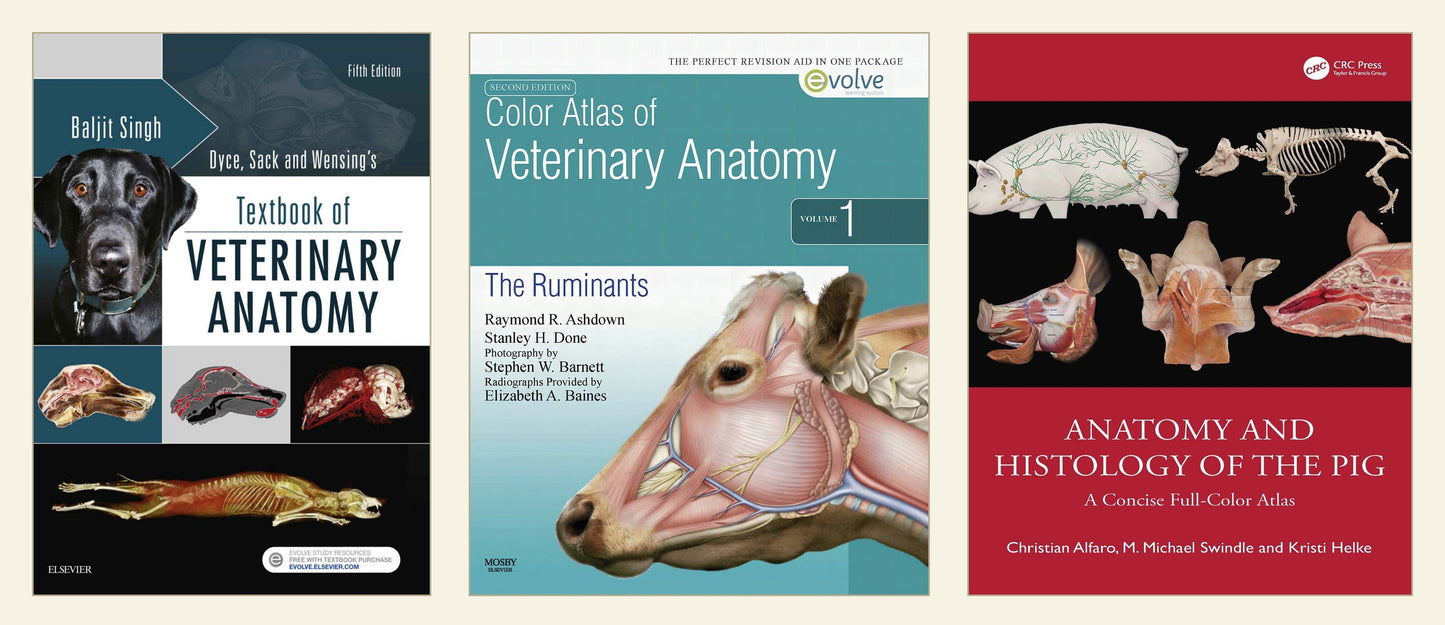 Best Veterinary Anatomy Books Pack (7 Books) — curated multi-book bundle