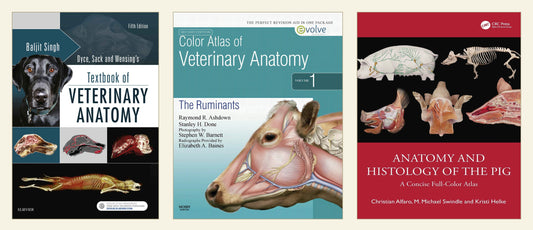 Best Veterinary Anatomy Books Pack (7 Books) — curated multi-book bundle