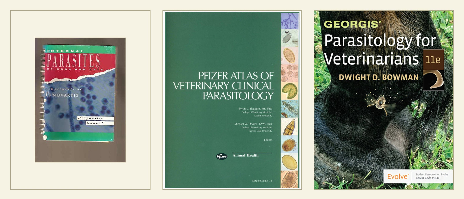 Best Veterinary Parasitology Books Pack (6 Books) — curated multi-book bundle