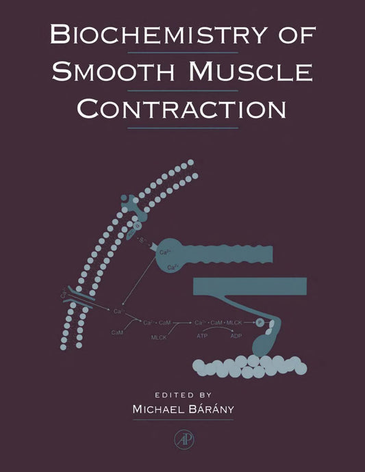 Biochemistry Of Smooth Muscle Contraction