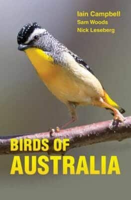 Bird Of Australia A Photographic Guide