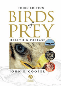 Birds Of Prey Health And Disease