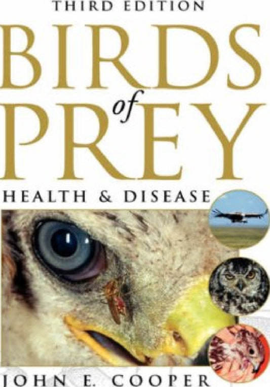 Birds Of Prey Health And Disease