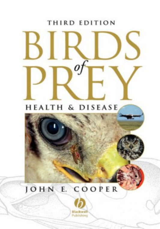 Birds Of Prey Health And Disease