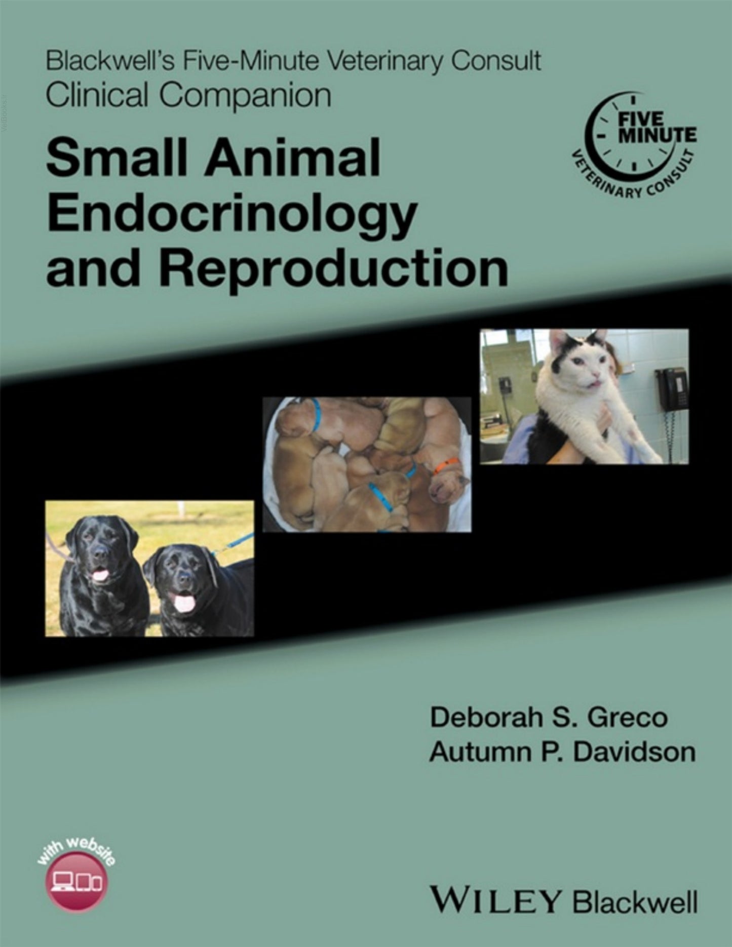Blackwells Five Minute Veterinary Consult Clinical Companion Small Animal Endocrinology And Reproduction