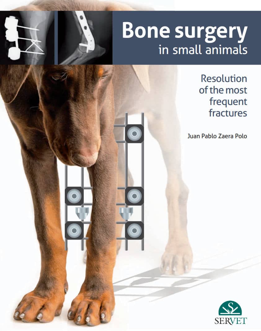 Bone Surgery In Small Animal