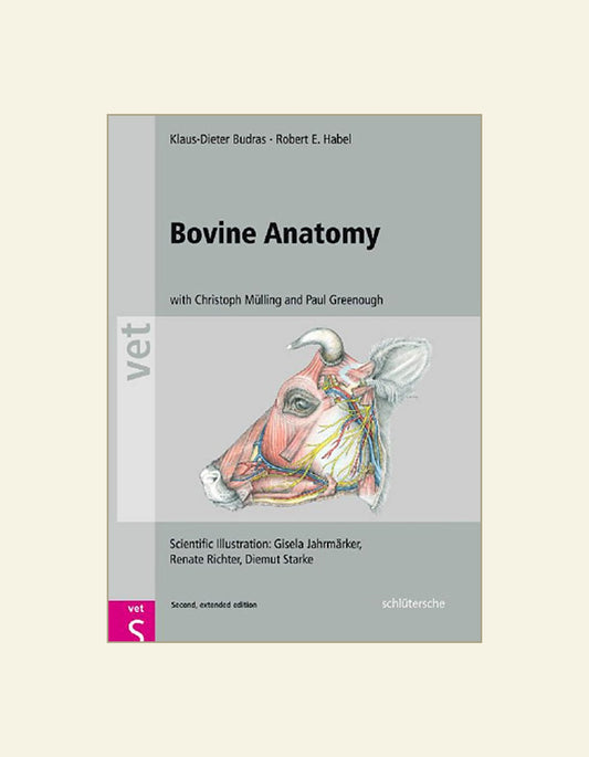 Bovine Anatomy an Illustrated Text 2nd Edition — front cover (HD)