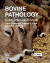 Bovine Pathology A Text And Color Atlas