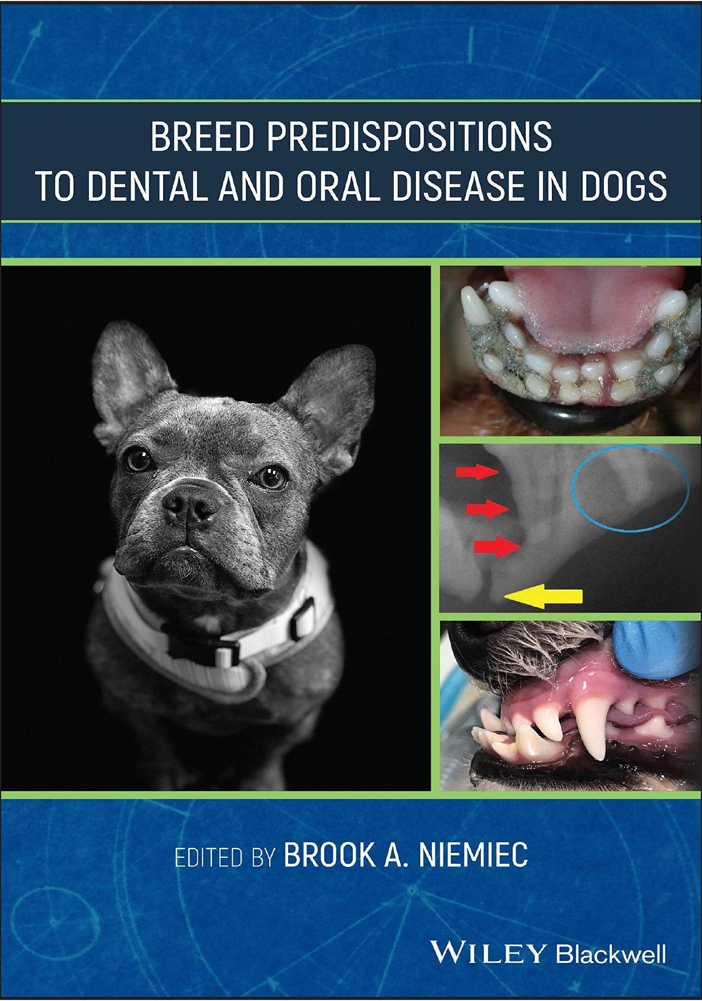Breed Predispositions To Dental And Oral Disease In Dogs