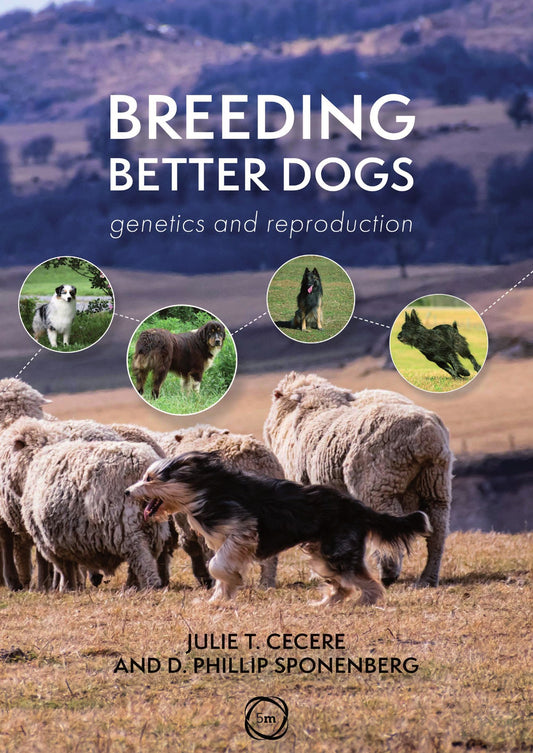 Breeding Better Dogs Genetics And Reproduction