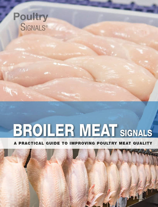 Broiler Meat Signals A Practical Guide To Improving Poultry Meat Quality