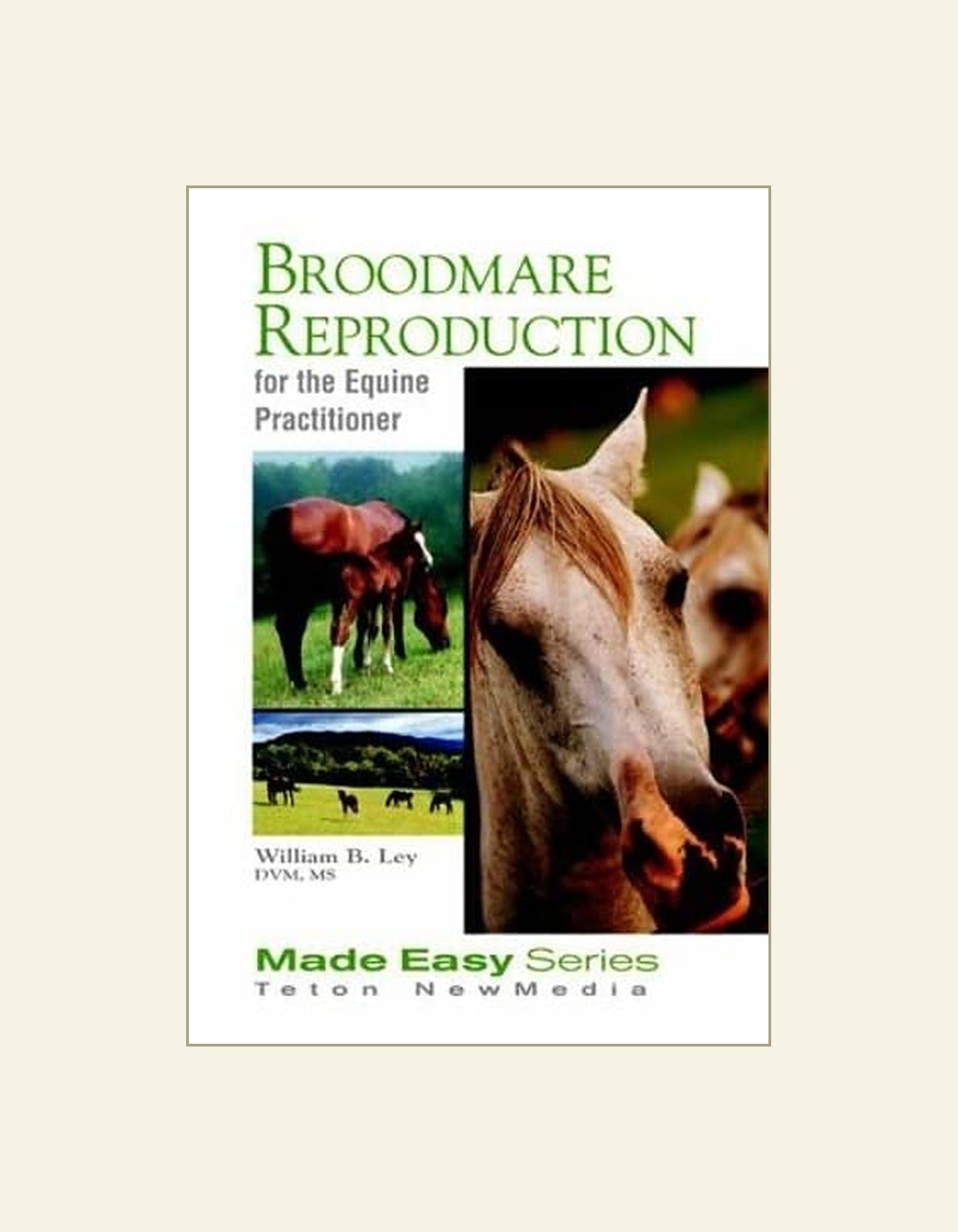Broodmare Reproduction For The Equine Practitioner — front cover (HD)