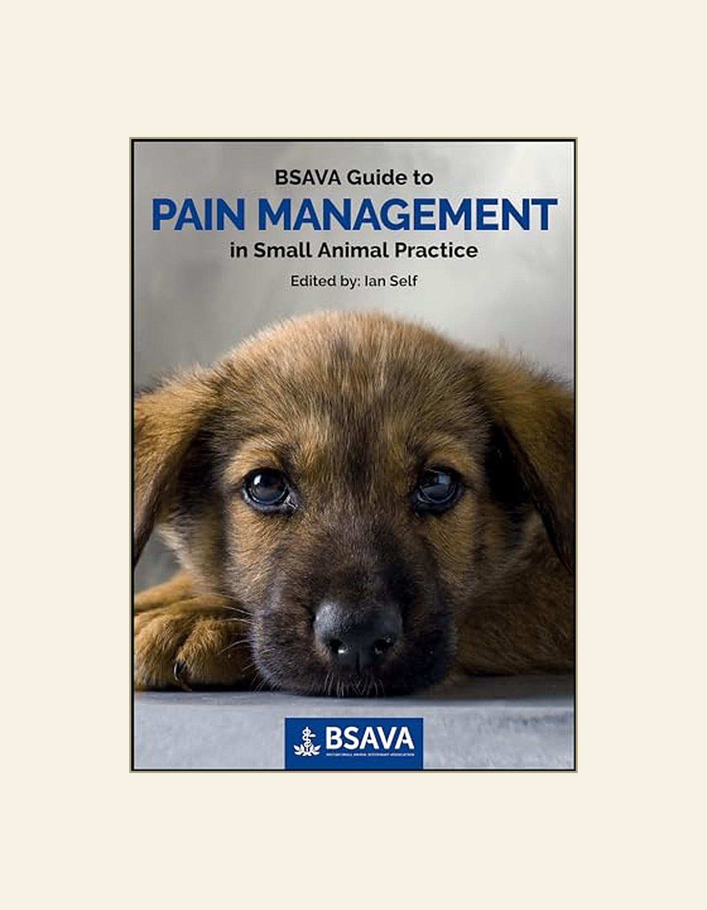 BSAVA Guide to Pain Management in Small Animal Practice — front cover
