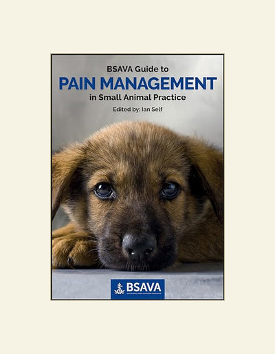 BSAVA Guide to Pain Management in Small Animal Practice — front cover