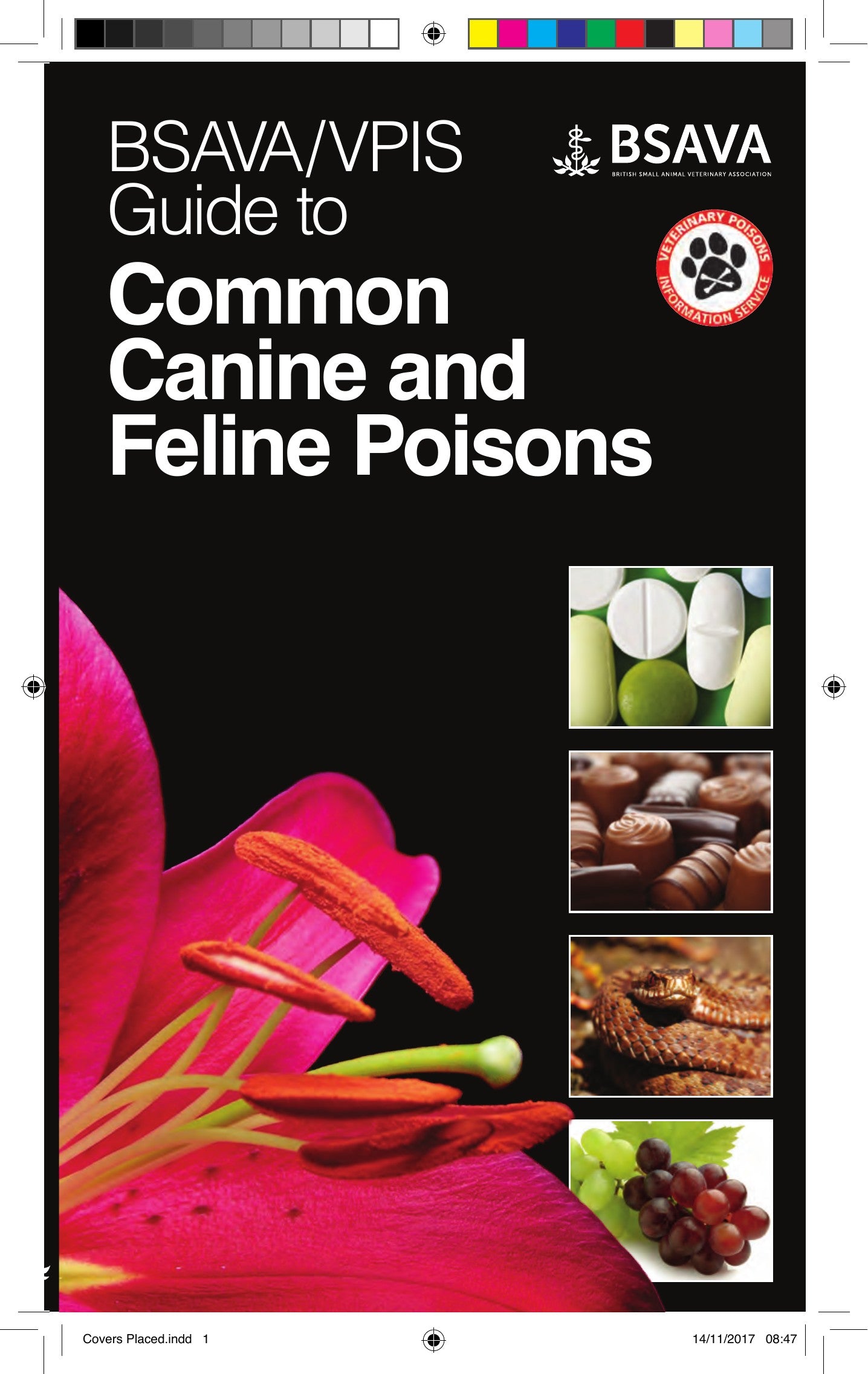 Bsava Vpis Guide To Common Canine and Feline Poisons